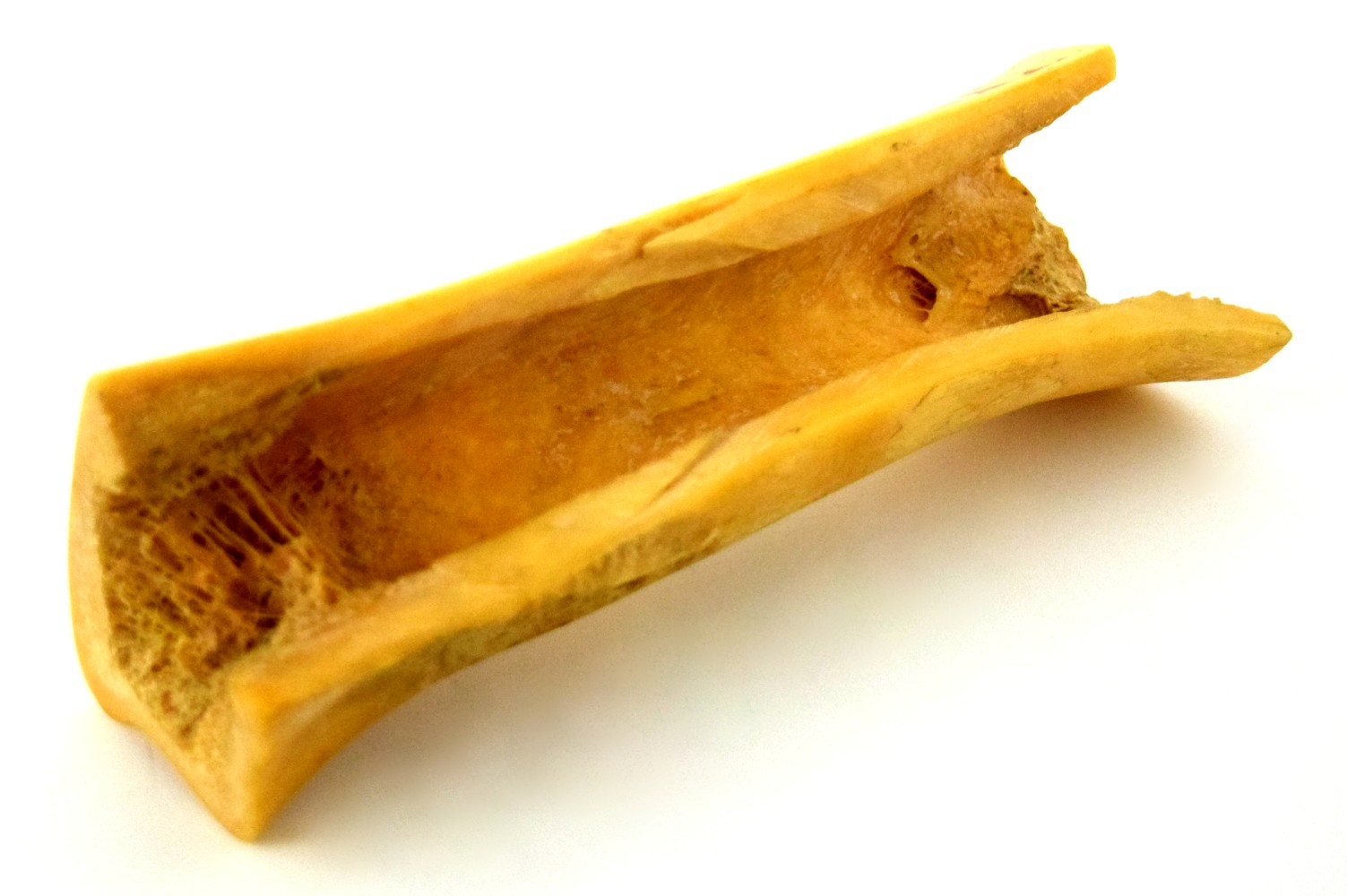 Rare American Civil War era Large Whale Bone with Fine Naval Scrimshaw of a Sail Boat Sailboat Inscribed ''SUSAN 1861''.