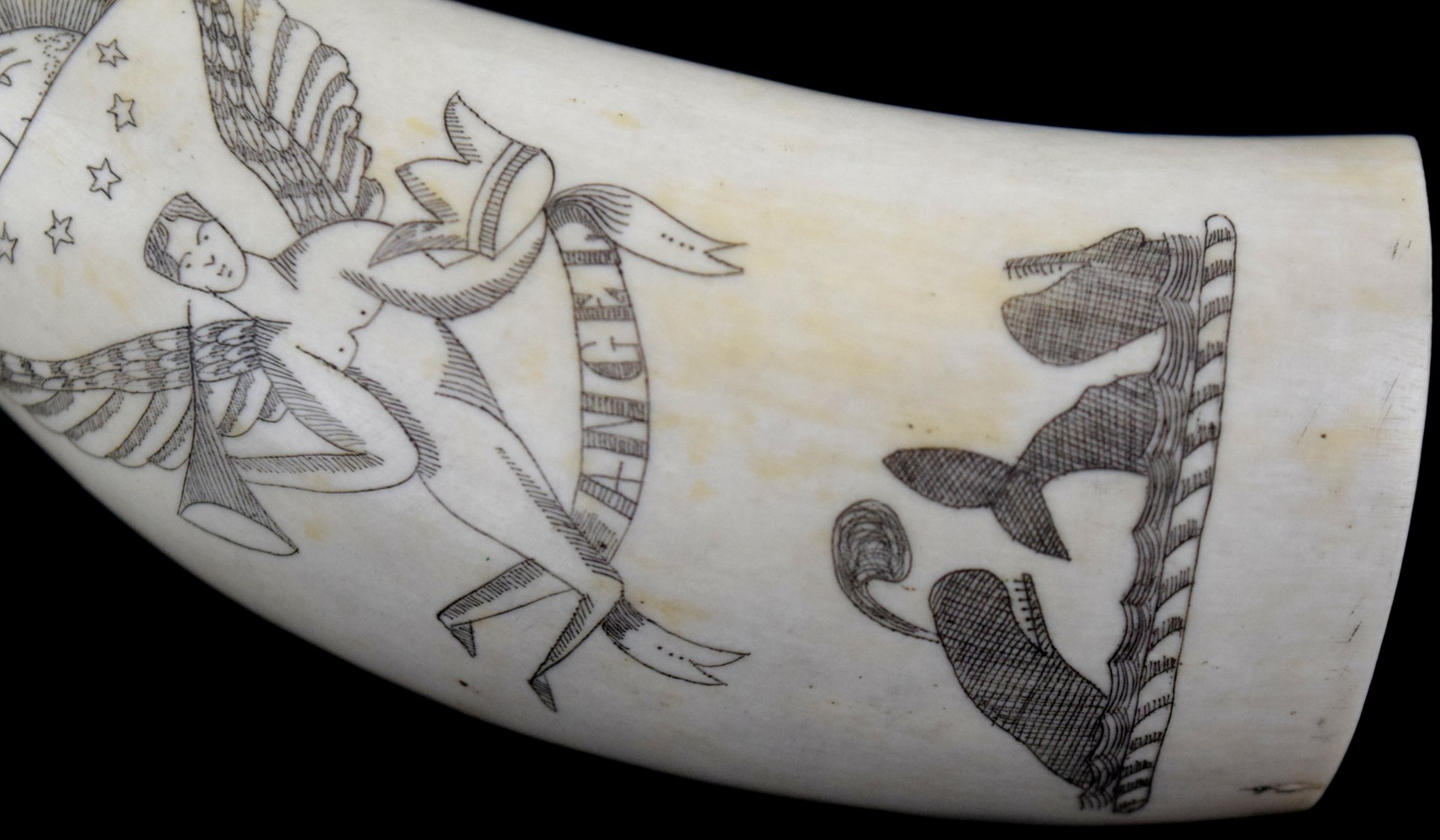 Whale Tooth Scrimshaw Angel and Whale Hand Carved Scene