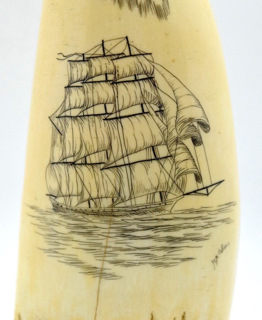Sailing Ship Scrimshaw On Whale Tooth