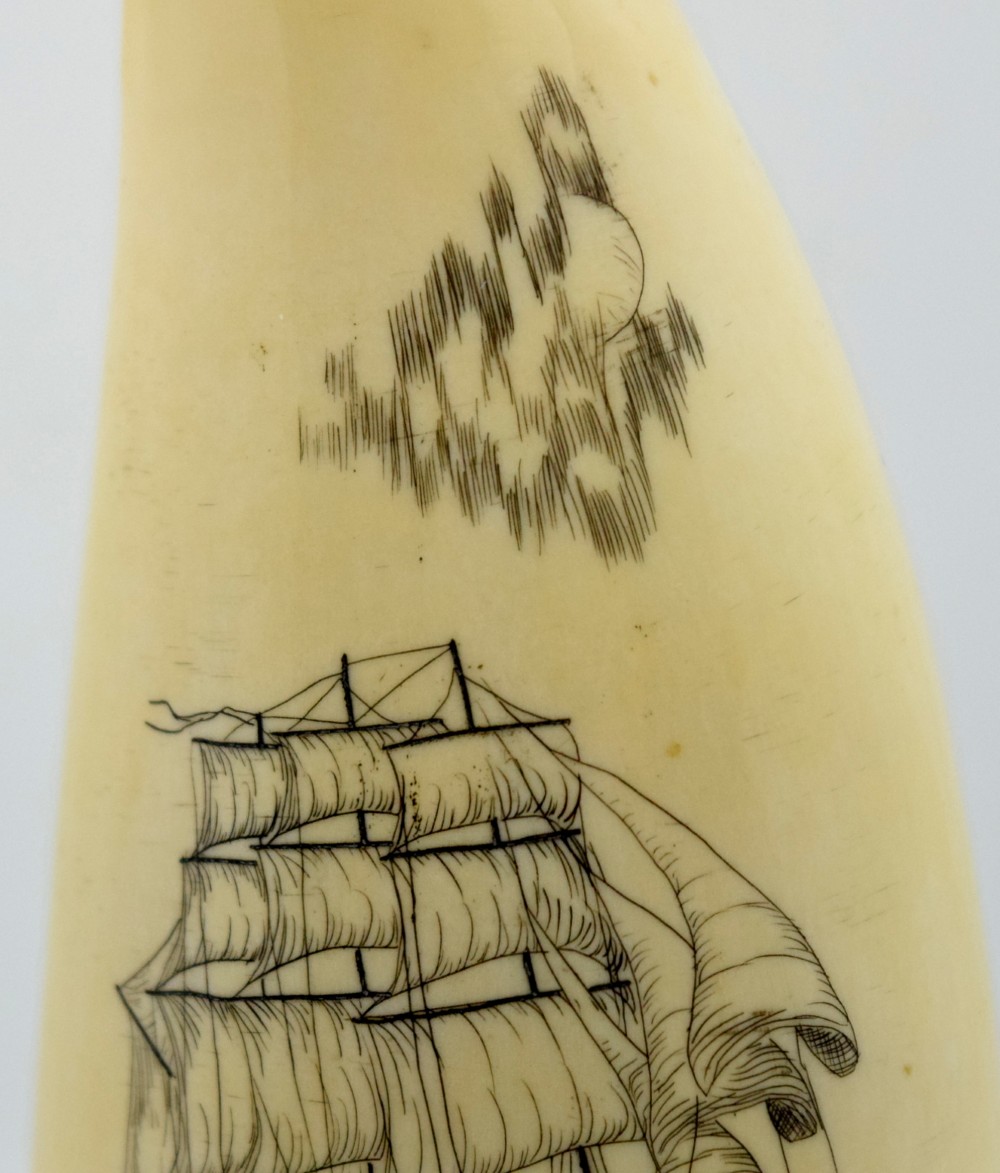 Sailing Ship Scrimshaw On Whale Tooth