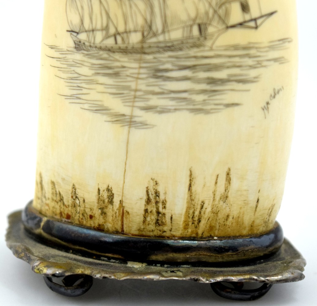 Sailing Ship Scrimshaw On Whale Tooth