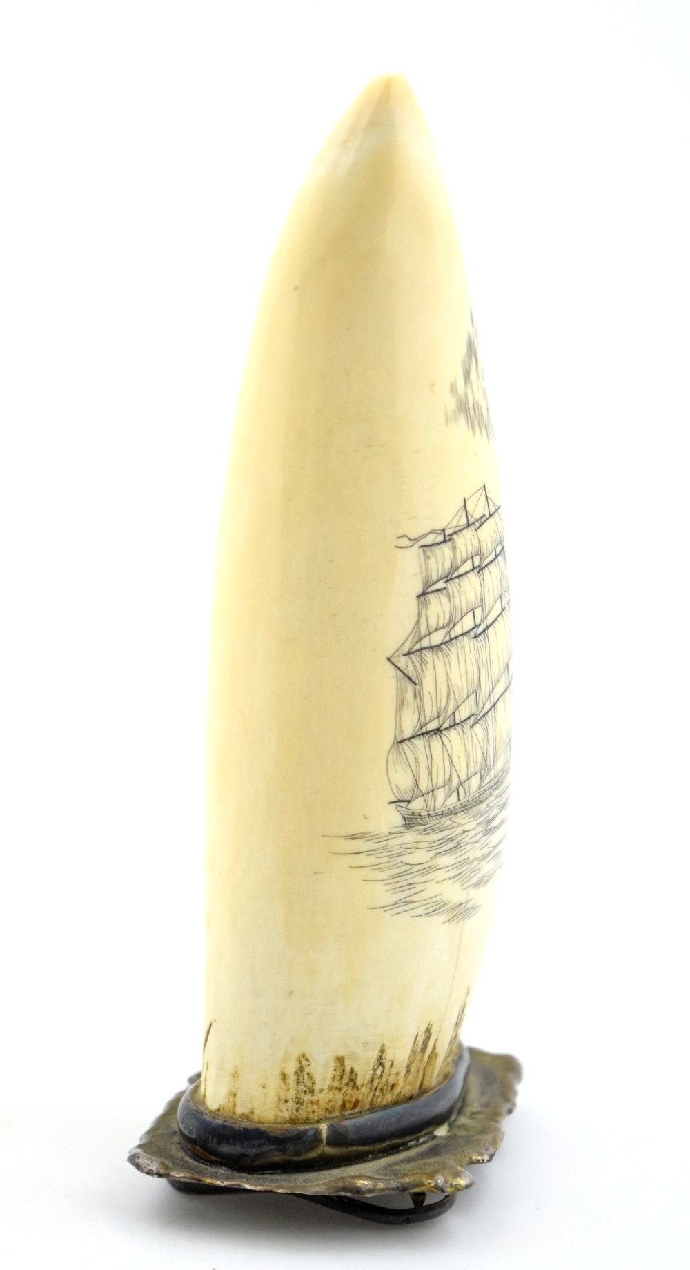Sailing Ship Scrimshaw On Whale Tooth