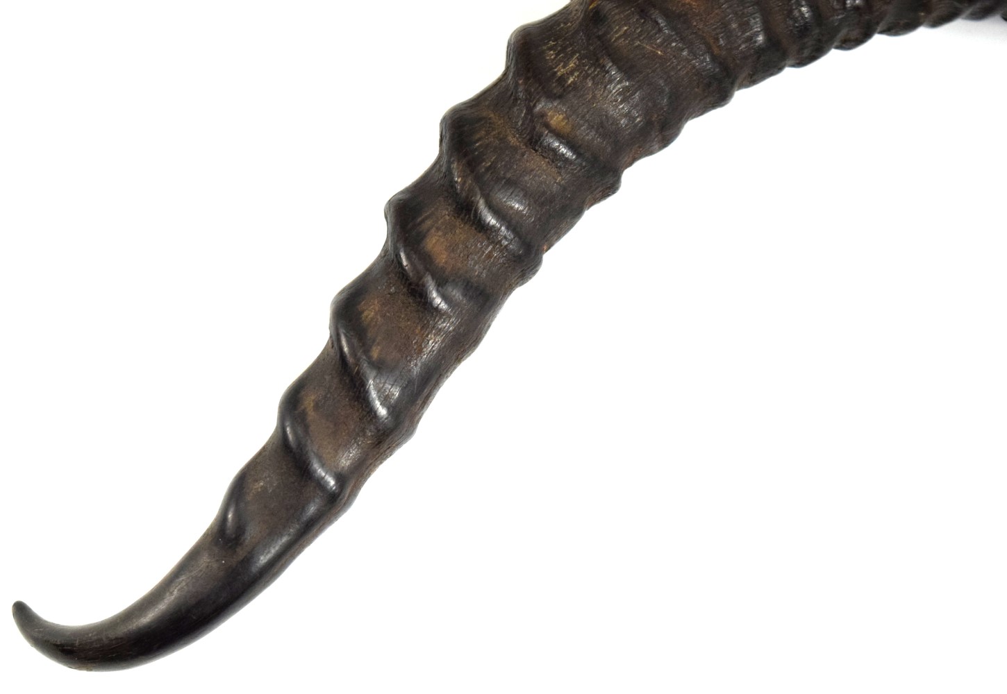 Large 19th C. Asian Philippine or Indonesian Fighting Dagger Short Sword with Strong Wavy Blade & Large Gazelle Horn Grip.