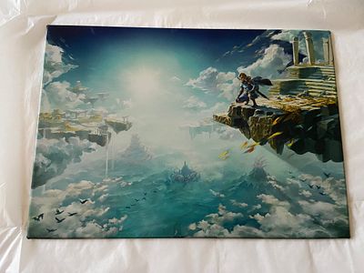 אספנות - גיימינג - ZELDA : פוסטר מתכתי יוקרתי מתוך מהדורת האספנים של משחק זלדה “דמעות הממלכה” 