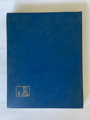 אספנות - ספרים : מה קרה ? קריקאטורות רישומים ביאורים / דוש קריאל גרדוש