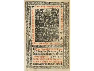 1531. LIBRO. (G&Oacute;TICO-LITERATURA). ROIG, JAUME:. 