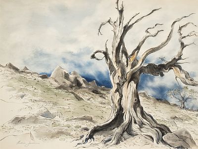 Frederic James (Kansas City, 1915-1985) - FREDERIC JAMES (1915-1985) WINDSWEPT PINE WATERCOLOR. Fred 