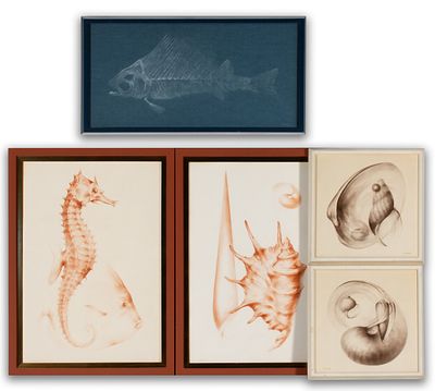 Alexander (Alejandro De) Canedo (Mexico, 1902-1978) - ALEXANDER CANEDO (1902-1978) MARINE STUDIES (5). 