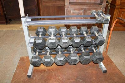 15pc rack of dumbbell weights 5lbs, 25-50lbs