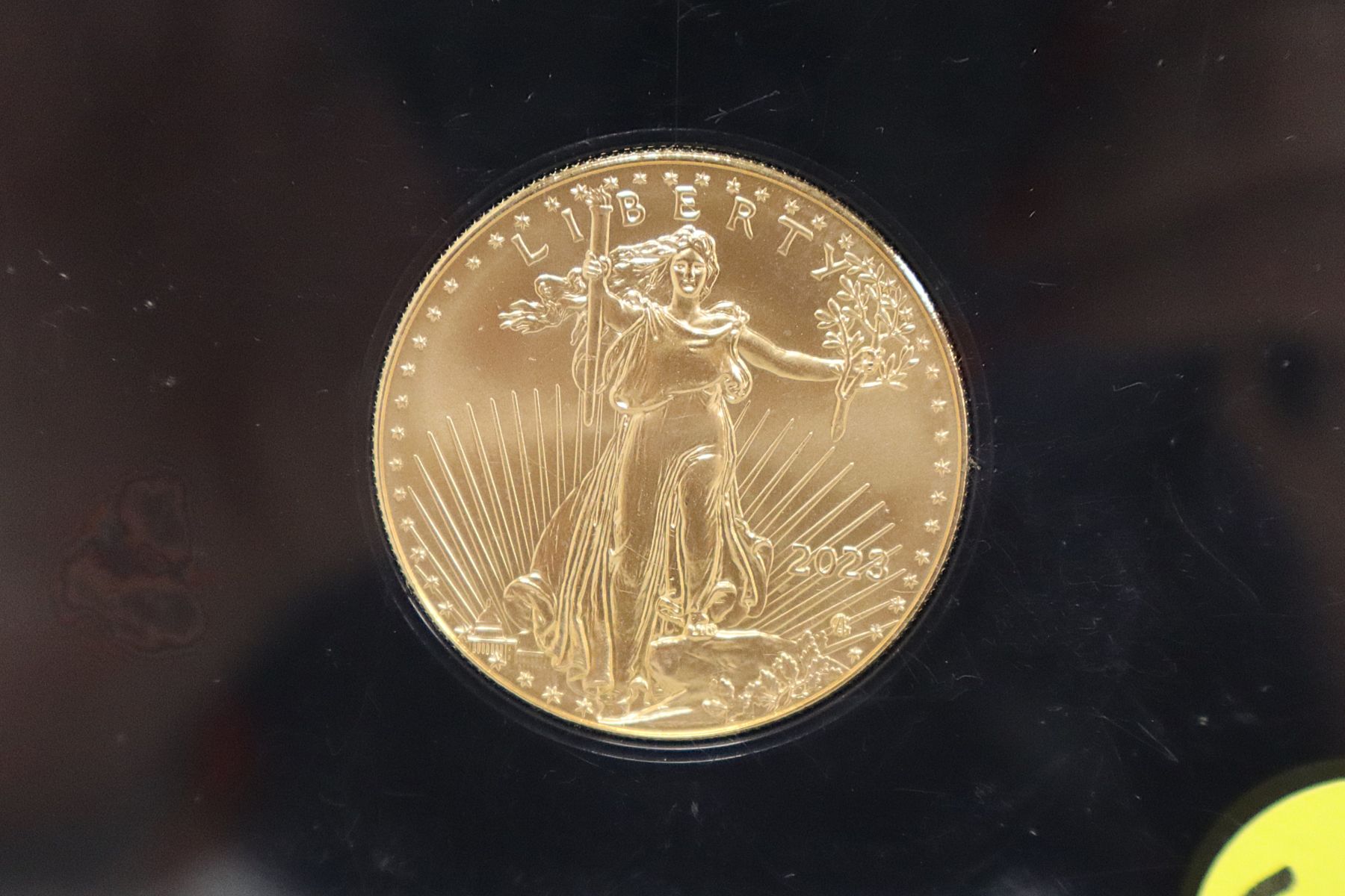 1 oz Gold American Eagle $50 Coin - Slabbed