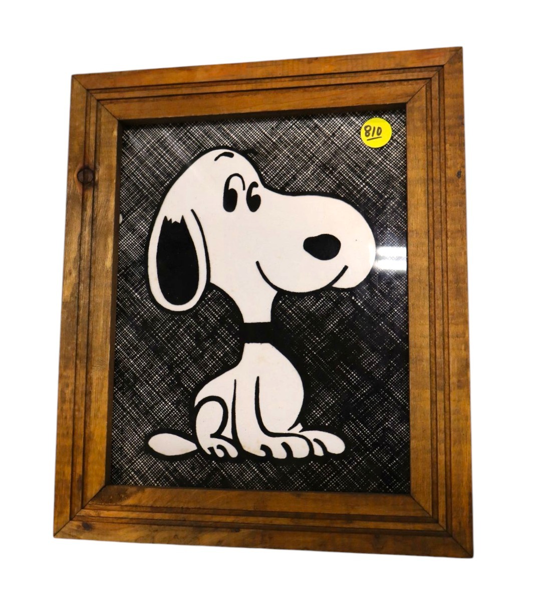 Vintage Snoopy picture