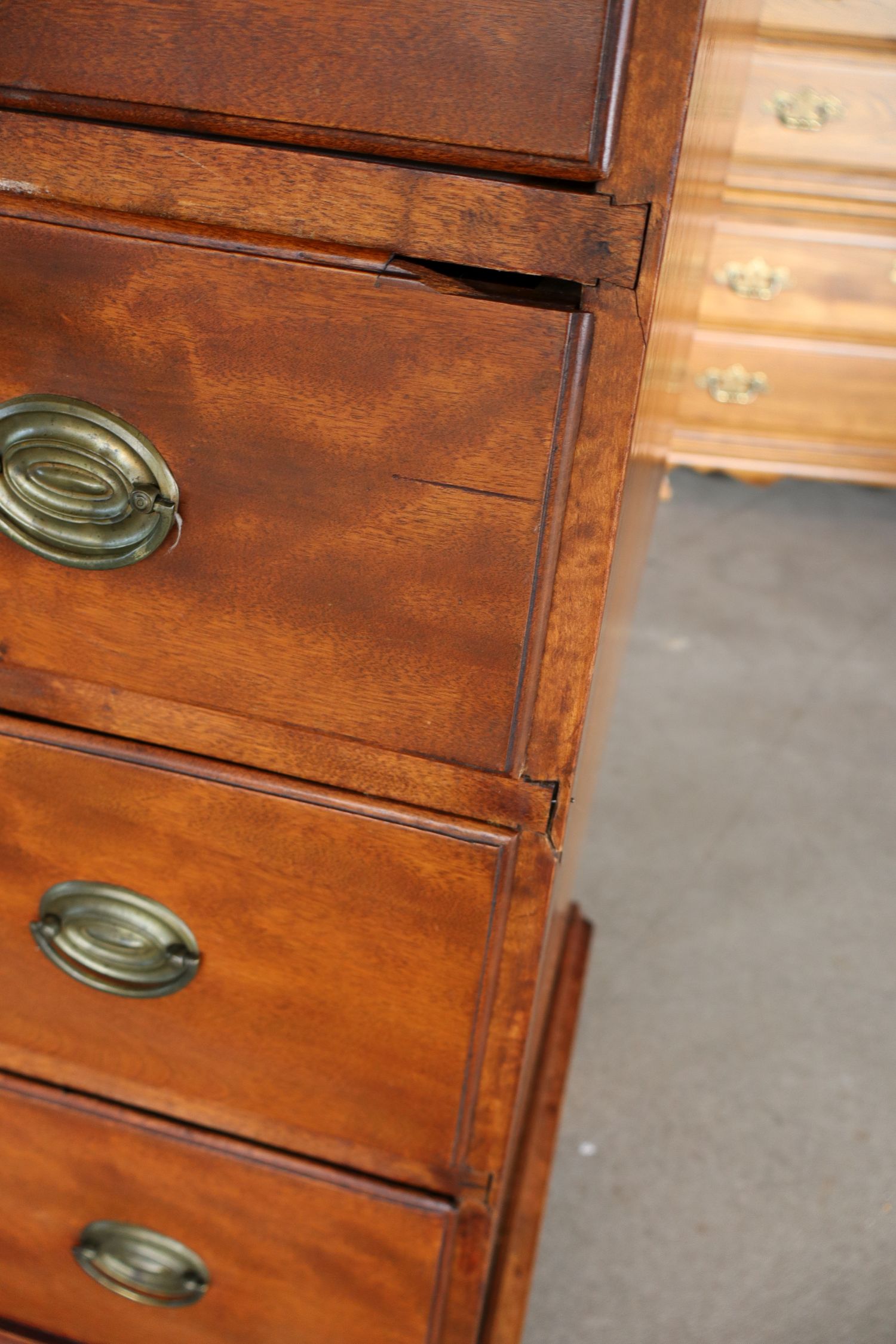 Antq 1840s Tiger Maple Cherry 4-Dr Chippendale Chest
