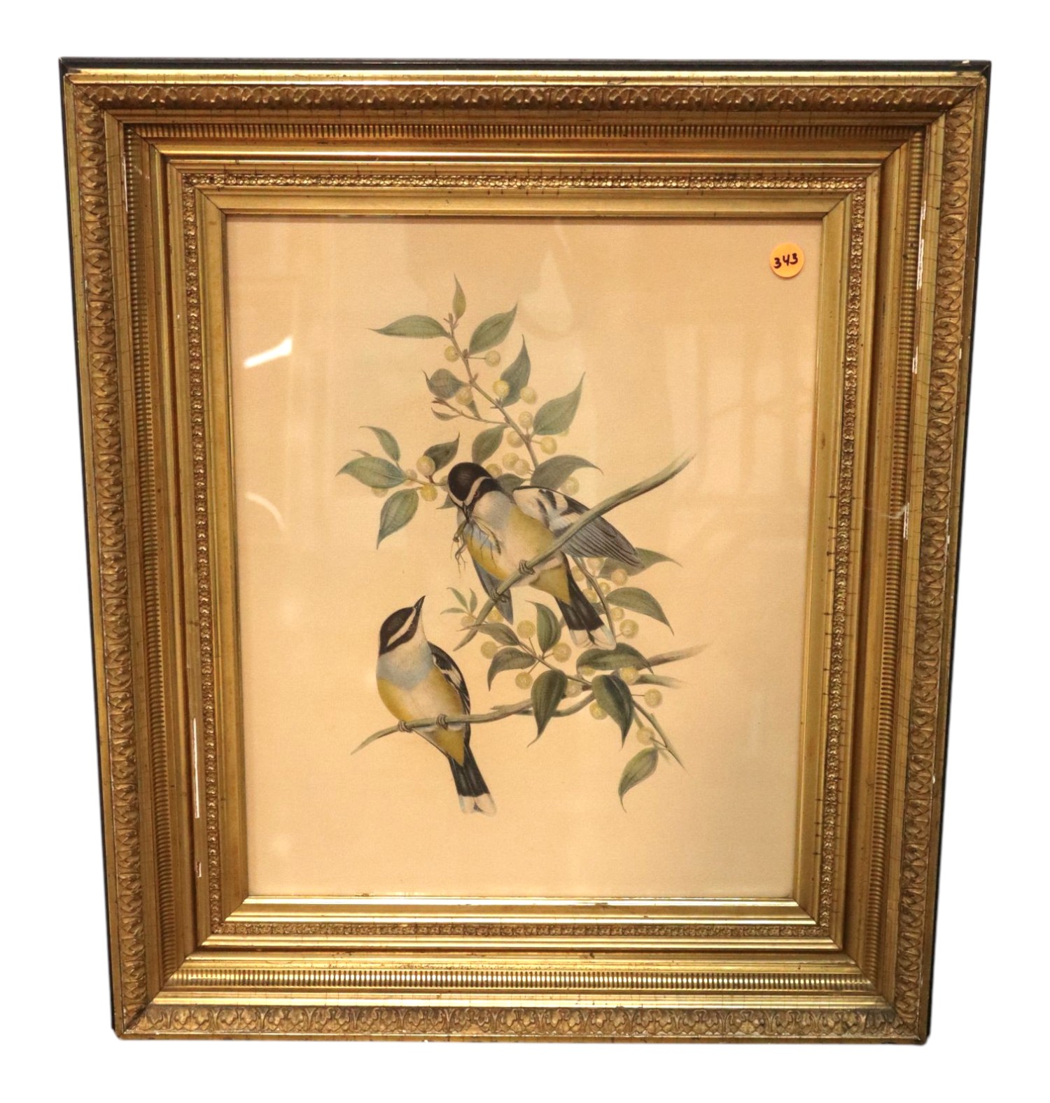 Antique frame Audubon print framed