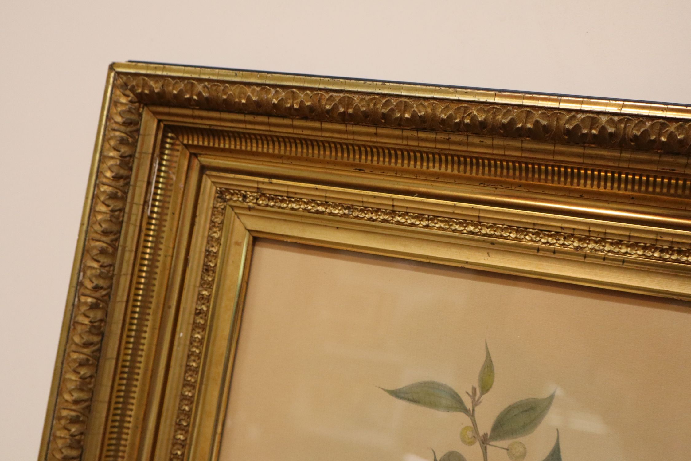 Antique frame Audubon print framed