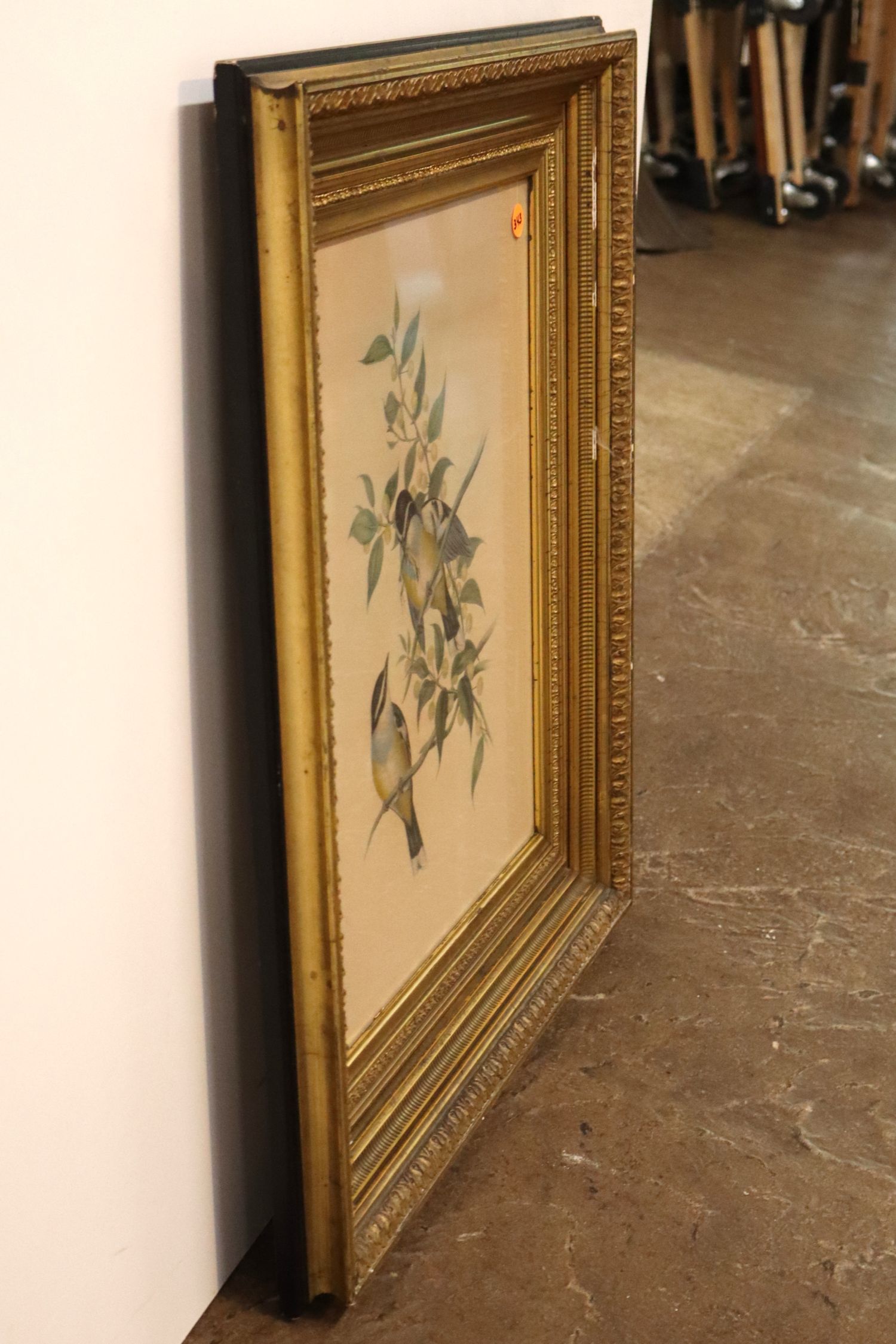 Antique frame Audubon print framed