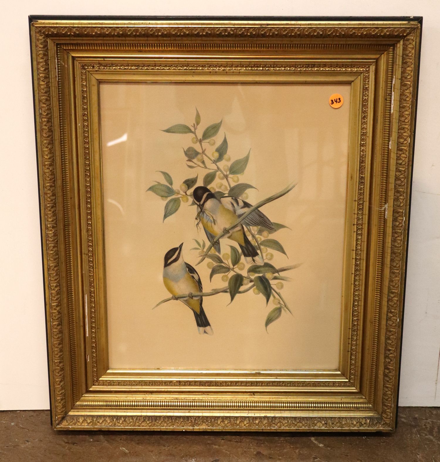 Antique frame Audubon print framed