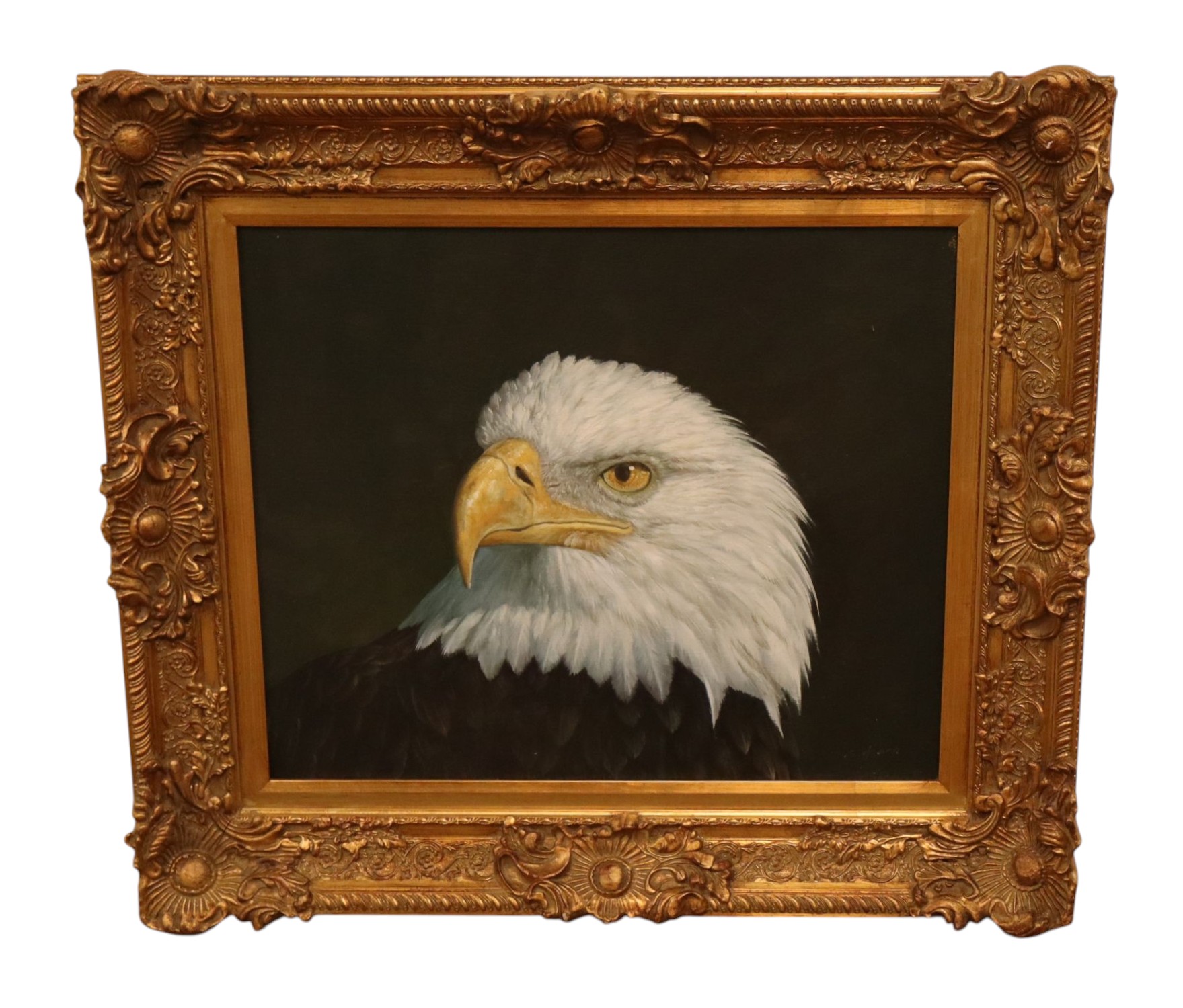 Eagle Bust Framed Canvas Giclee Print S Hearn