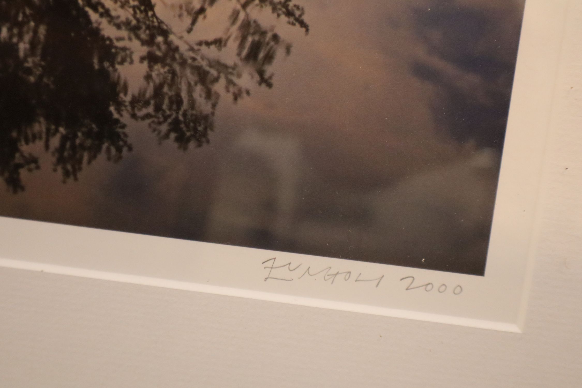 Nick Zungoli Sg. Photo Wallkill Reflection 20/300
