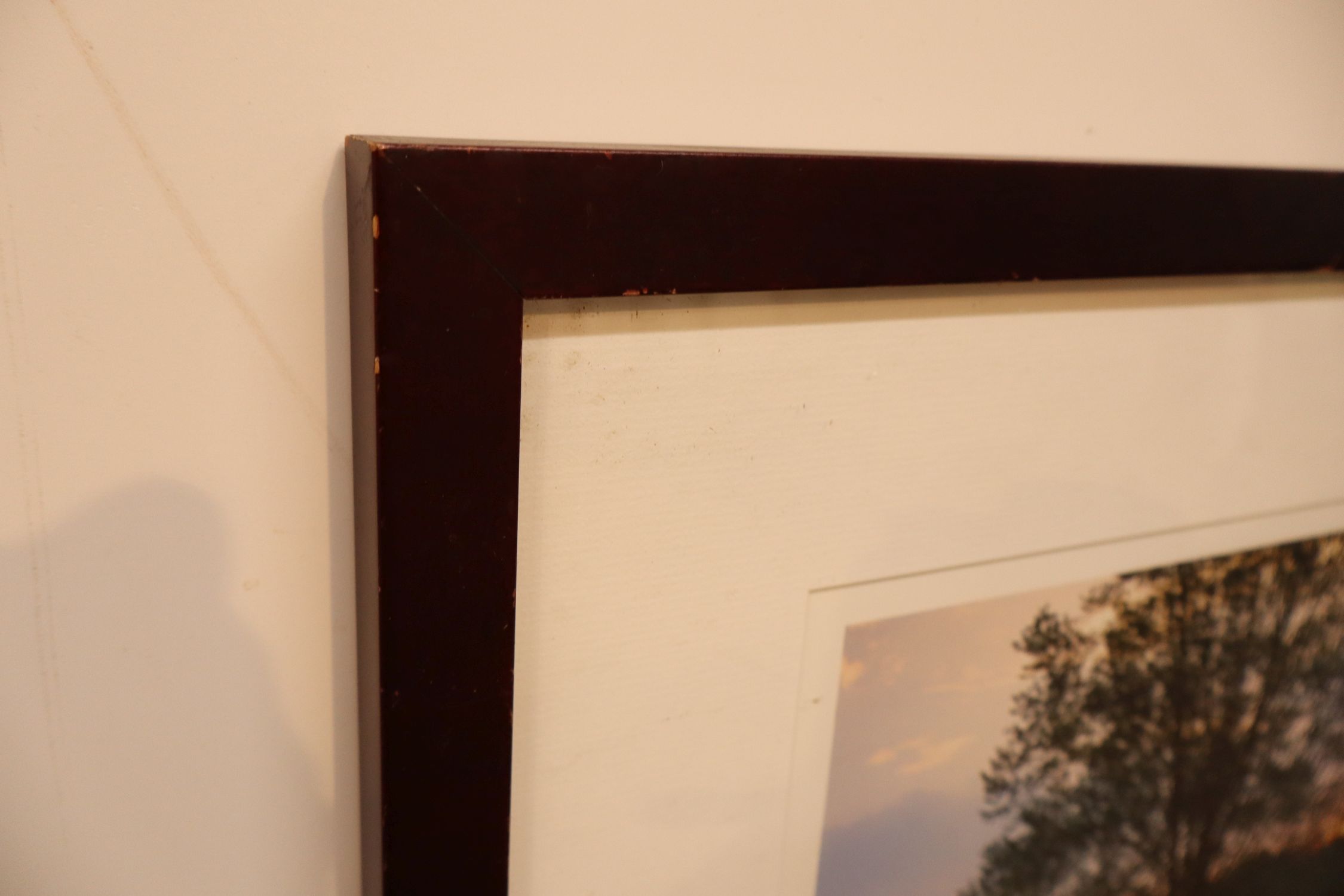 Nick Zungoli Sg. Photo Wallkill Reflection 20/300