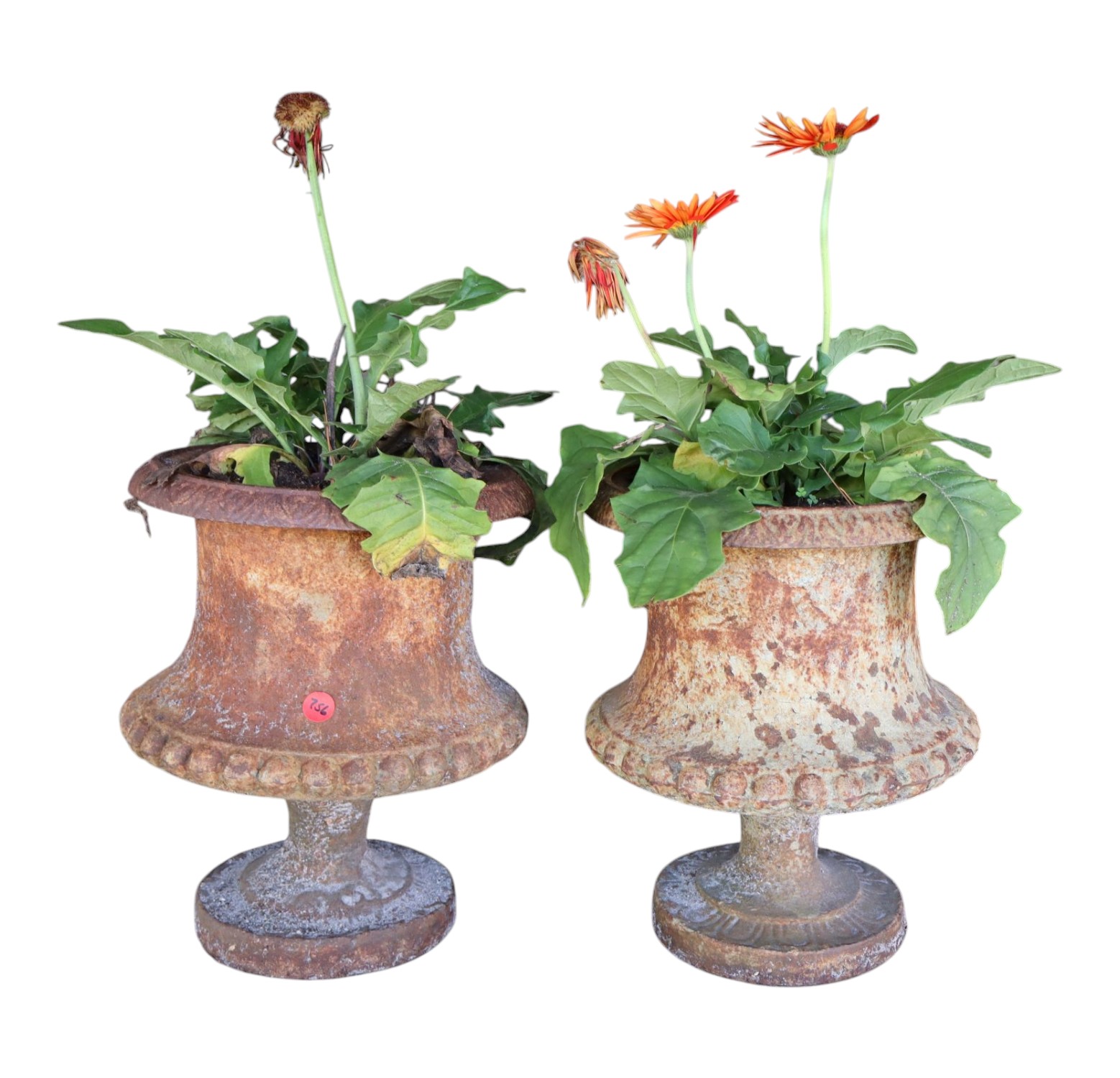 Antique pair cast iron petite garden planters 13"h x 10"dia