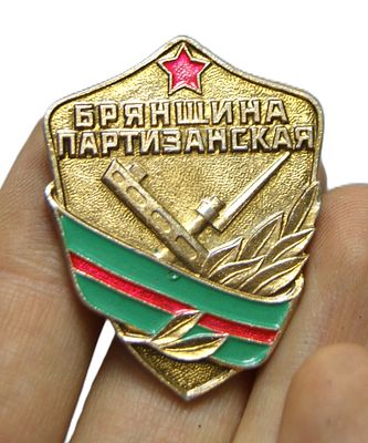 Значок памятный " Брянщина партизанская ". 1980-е гг.