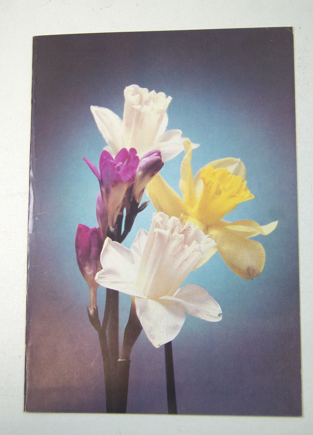 Открытка со стихотворным поздравлением. 1970-е гг.