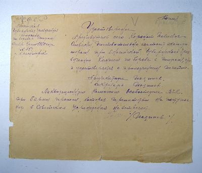 Енисейская губернская чрезвычайная комиссия по борьбе с тифом. Удостоверение члена комиссии. 