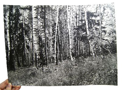 Д. Лихачев. Авторское крупноформатное фото " Морозовка ". 1973 год.