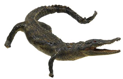 Чучело крокодильчика коллекционное. 1980-е гг.