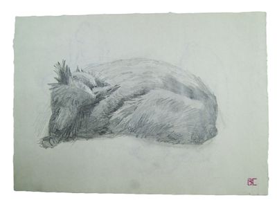 Владимир Смирин. " Терьеры ". Карандаш, бумага. Лист из альбома. 1980-е гг.
. Владимир (Вадим) 