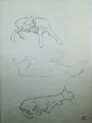 Владимир Смирин. " Терьеры ". Карандаш, бумага. Лист из альбома. 1980-е гг.
Владимир (Вадим) 