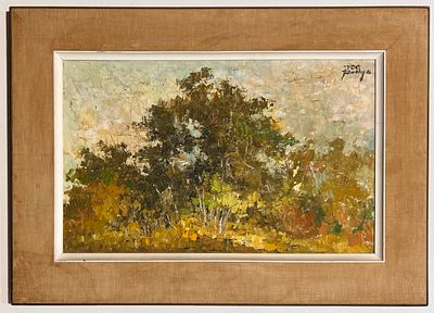 Rolly Schaffer (Israeli - Romanian, 1947-2011) - Wooded Area. Oil on canvas. 
Hand signed. 
Framed.
