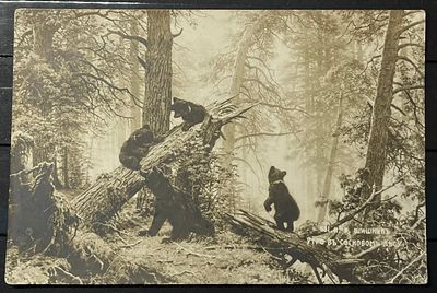 Россия 1910-е гг Открытка