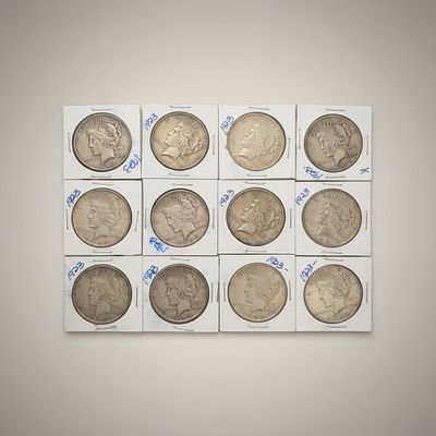Twelve (12) 1923 Peace Silver Dollars Mixed Mint Group .900 Fine Silver. Group of twelve 1923 