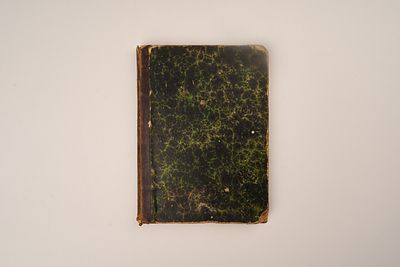 Незеленов А.И. Собрание сочинений. Том первый. Александр Сергеевич Пушкин в его поэзии. Первый 