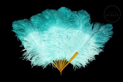 Fan with sky blue feathers, 20th century. Composed of long feathers dyed in shades of sky blue 