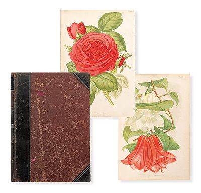 : ROBERT THOMPSON - The Gardener's Assistant: Practical and Scientific. ROBERT THOMPSON Reino 