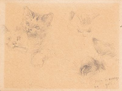 : ALEJANDRO SEIQUER - Estudio de gato. ALEJANDRO SEIQUER Murcia 1850-1921 Estudio de gato Dibujo 