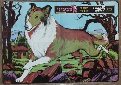 אשר עין דור דיקשטיין - כרזה לאסי, אצבעוני. . 54X37. 
קרע עם חוסר לפינה, חוסר נוסף, קרעים מתוקנים.