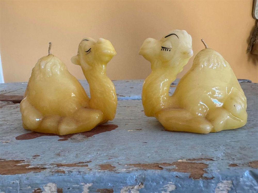 Lot 253: Camel Candles