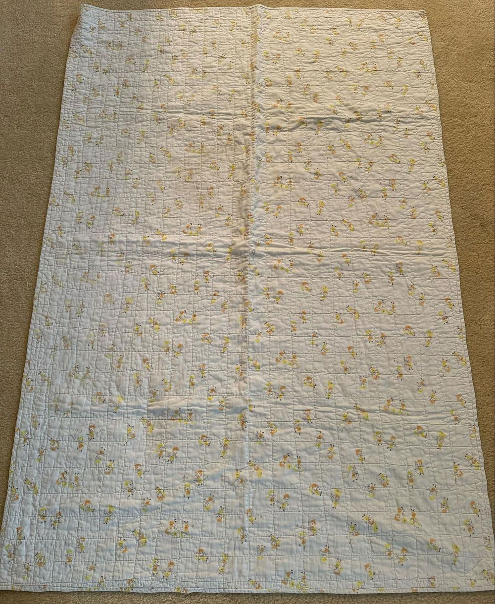 Lot 307: Hand Sewn Quit