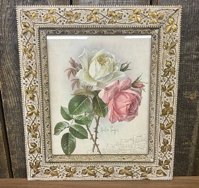1904 Paul de Longpr&eacute; Calendar lithograph titled "Pink and White Roses" - 14.5"x16.5". 1904 Paul 