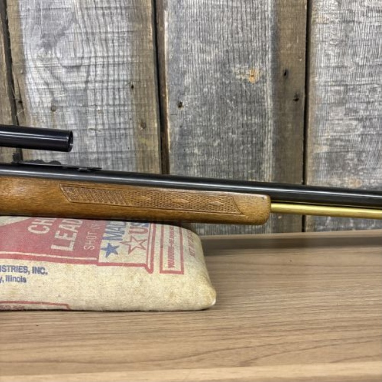 Marlin Glenfield Model 65 Golden 50 Semi-Automatic Rifle .22 LR with 22 Inch Barrel