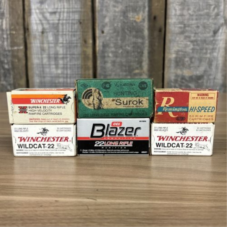A Lot of Six Boxes of Mixed .22 Caliber Rimfire Ammunition