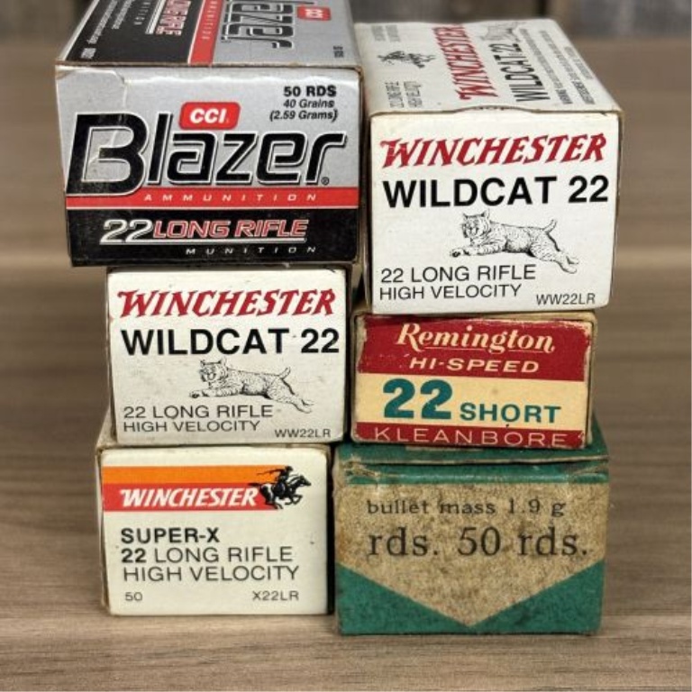 A Lot of Six Boxes of Mixed .22 Caliber Rimfire Ammunition