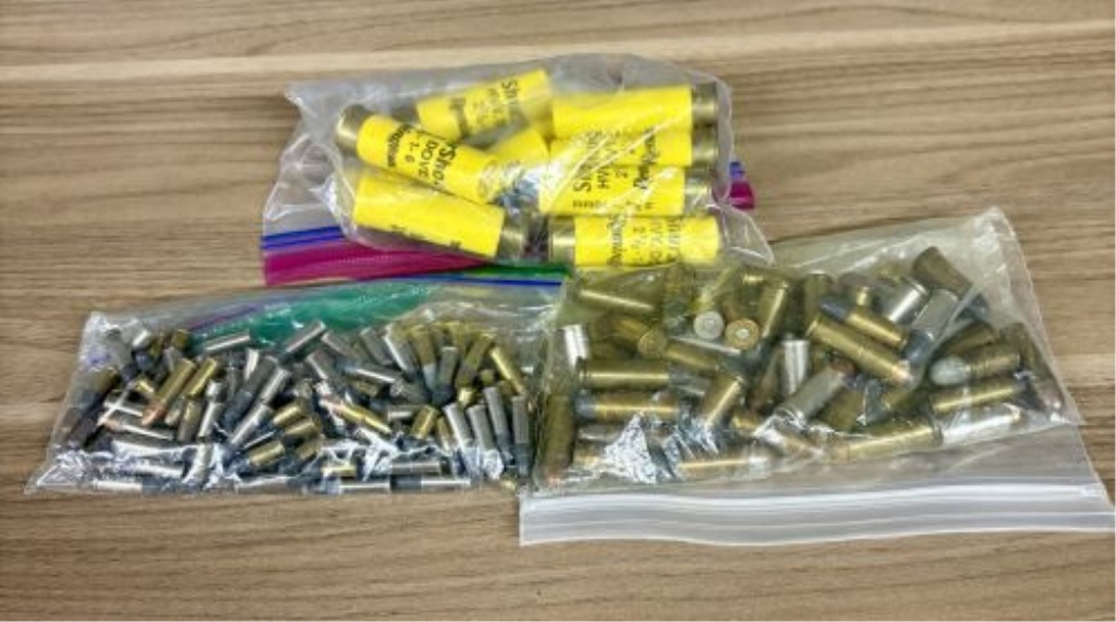A Lot of Assorted Ammunition including 20 Gauge Shotgun Shells, .38 Special, and .22 Caliber Rimfire