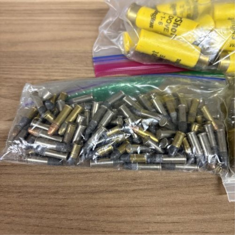A Lot of Assorted Ammunition including 20 Gauge Shotgun Shells, .38 Special, and .22 Caliber Rimfire