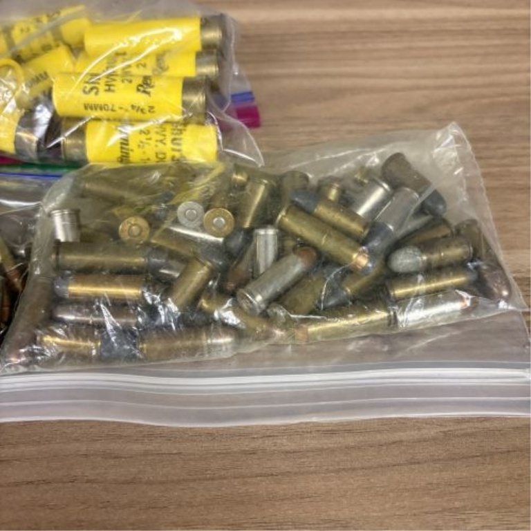 A Lot of Assorted Ammunition including 20 Gauge Shotgun Shells, .38 Special, and .22 Caliber Rimfire