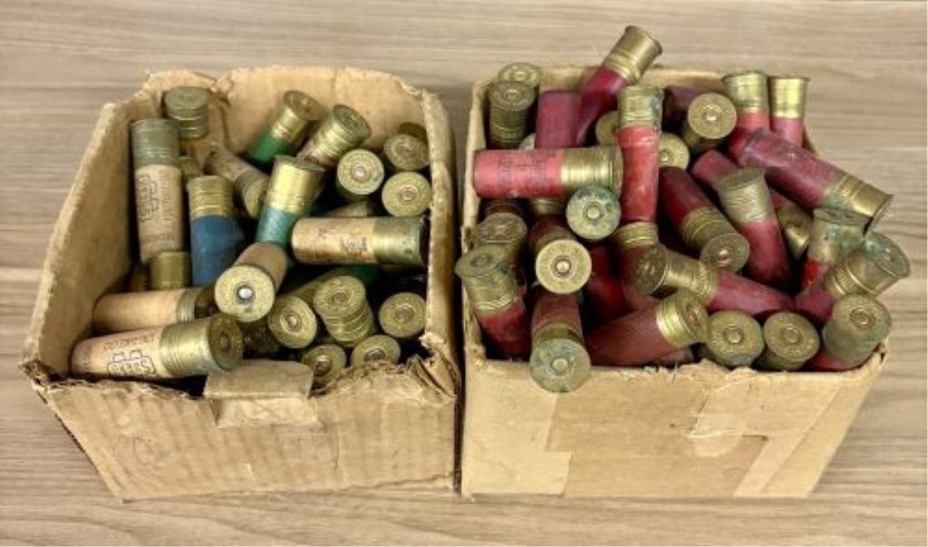 A Lot of Assorted Shotgun Shells 12 and 16 Gauge