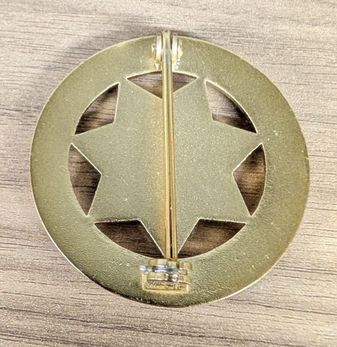 Counter Terrorism Homefront Security Task Force Commemorative Badge